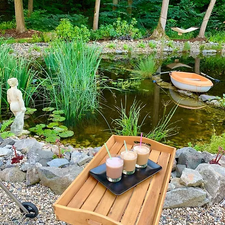 Mlyn Bynov Aparthotel Probostov